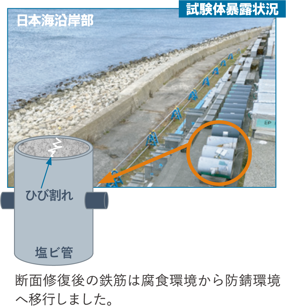 試験体暴露状況